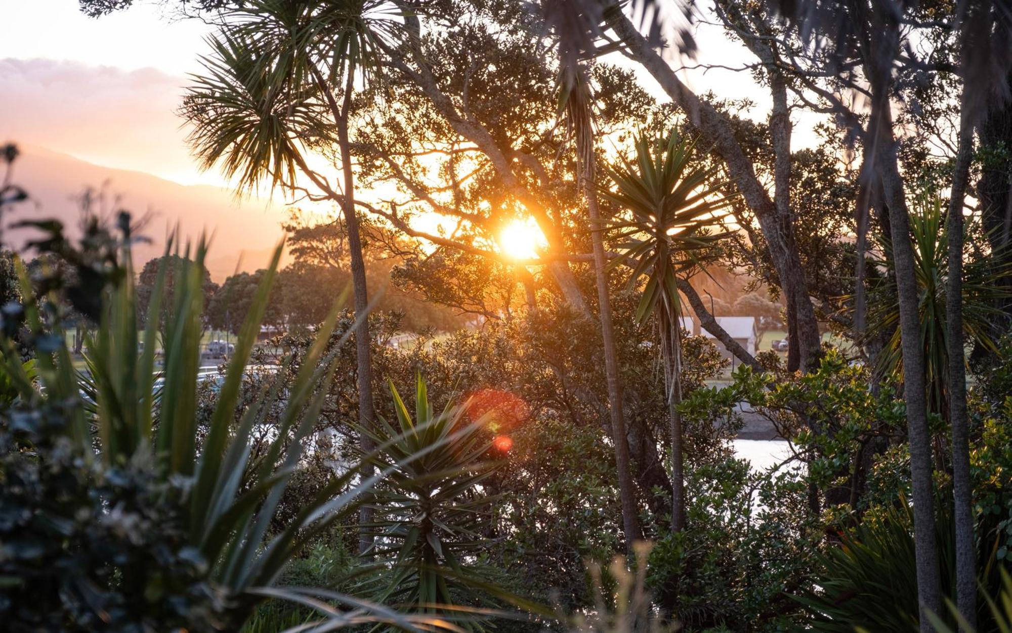 Bow Street Apartments & Cottage Raglan Pokoj fotografie